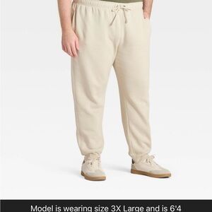 Goodfellow & Co Men's Beige Joggers